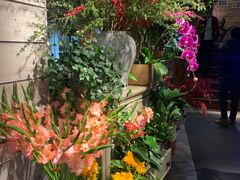 -春暖花开(西溪店)