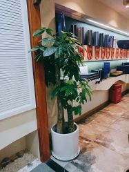 -宁妮丹养生会所