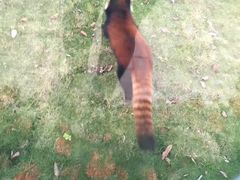 -泉州海丝野生动物世界