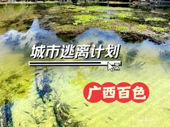 -靖西鹅泉风景区
