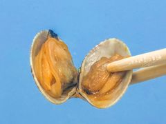 炒花蛤-老虎滩大连海鲜烧烤(建邺云锦路总店)