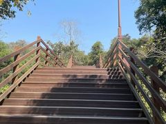 -野象谷景区