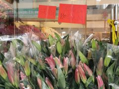 -溪岸路花鸟市场