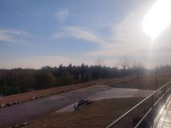 -合肥滨湖国家森林公园