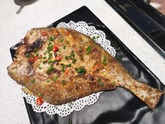 -九府羊·鲜羊火锅·烤串(新华路店)