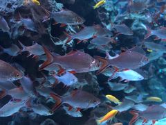 -成都浩海立方海洋公园