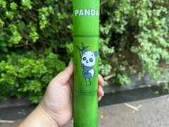 -广州长隆野生动物世界