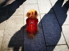 -云碧峰国家森林公园