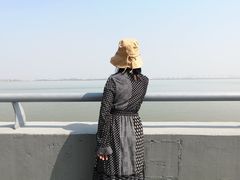 -大湾区中央湿地公园