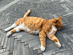 -CHURCH  BISTRO 教堂·餐吧