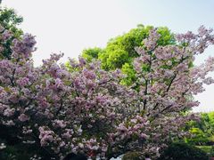 -荆川公园