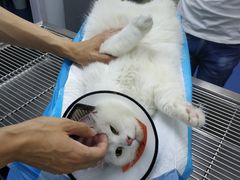 -宠颐生动物医院·小陆分院
