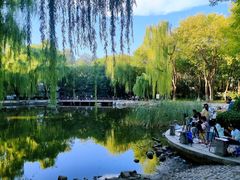-玲珑塔公园