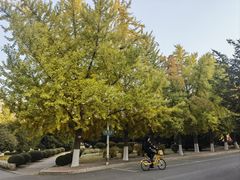 -辽宁大学(崇山校区)