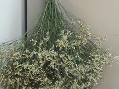 -亭亭鲜花店(中山北路店)