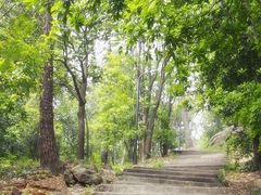 -视禾摄影培训(越秀区分部)