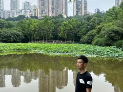 -龙头寺公园