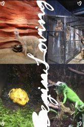 点击看大图 -酷嗒动物文化乐园(cutezoo西溪乐天城店)