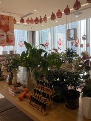 点击看大图 -dōTERRA多特瑞精油生活馆
