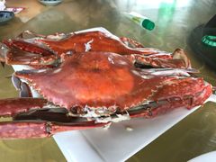 -胖大嫂渔家排档·全海景餐厅(渔村店)