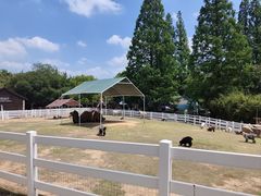 -白马涧龙池景区