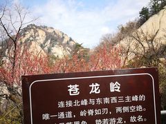 -华山风景名胜区-苍龙岭