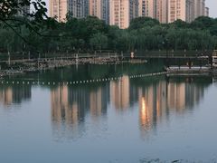 -桐乡植物园