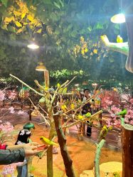 -酷嗒动物文化乐园(cutezoo西溪乐天城店)