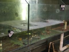水产区-集味齐传统美食餐厅(狮山公园店)