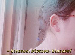 -花师傅