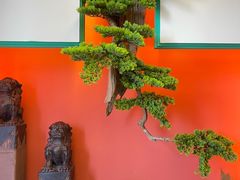 -景笙毋米粥底火锅(20年老字号)