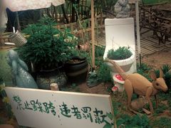 -荒度咖啡(北九水店)