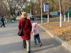 -长白岛森林公园