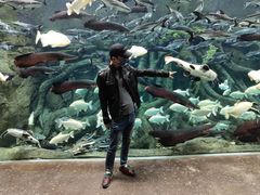 -波塞冬旅游度假区