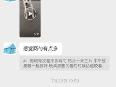 -宠物之家Pets Home 宠物寄养酒店