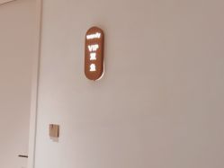 点击看大图 -WENDY·温迪皮肤管理