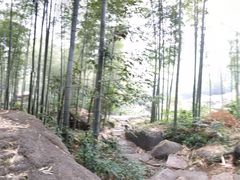 -山沟沟景区