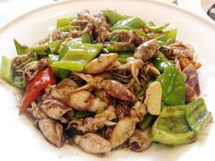 炒海兔-品味居·首店·大连鲜活海鲜大连菜(东港店)