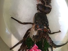 -甘尼仕印度餐厅爵士酒吧(阳春巷店)