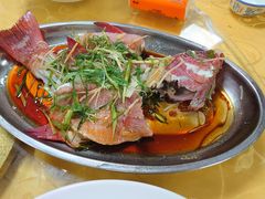 清蒸东星斑-盒马鲜生(岭南新世界店)