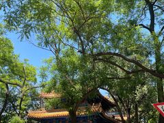-北京国子监胡同