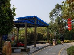 -梧桐山风景名胜区