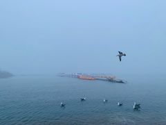 -星海广场