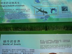 -西湖风景区-江洋畈生态公园