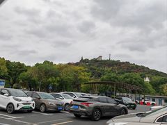 -上海佘山国家森林公园东门地面停车场