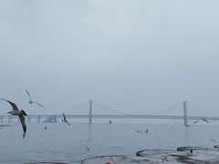 -星海广场