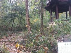 -玉女潭景区