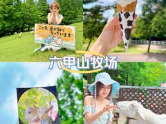 -神户市立六甲山牧场