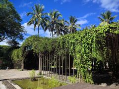 -中国科学院西双版纳热带植物园