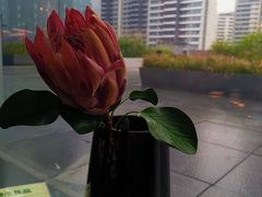 -凤凰湘语·湘粤鲜融(浦东旗舰店)